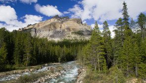 Mosquito Creek Campground | Banff National Park