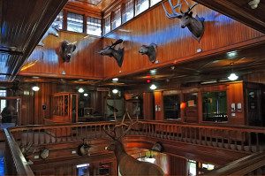Banff Park Museum: a great place to go when looking for things to do in Banff Canada