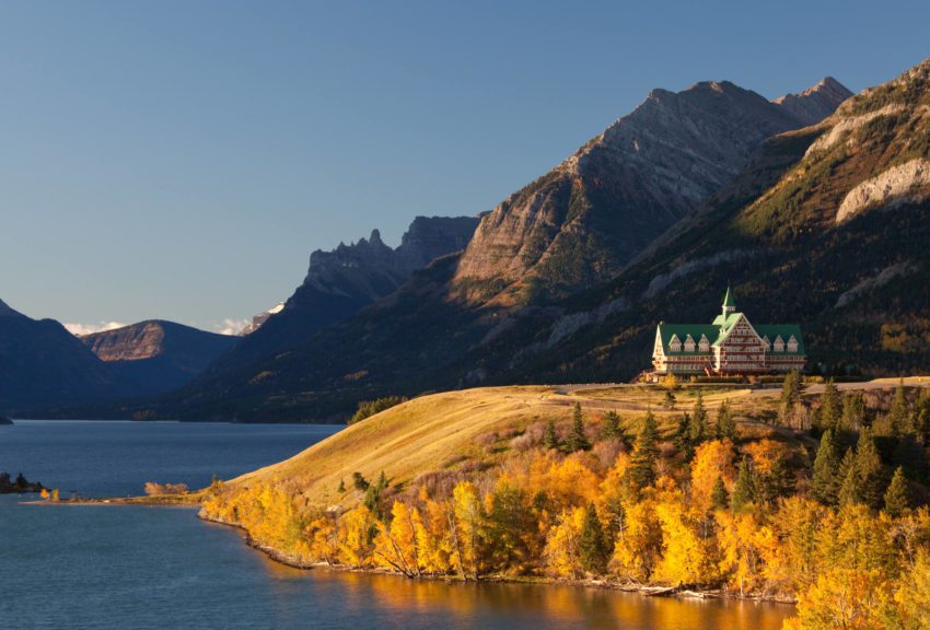 are dogs allowed in waterton national park