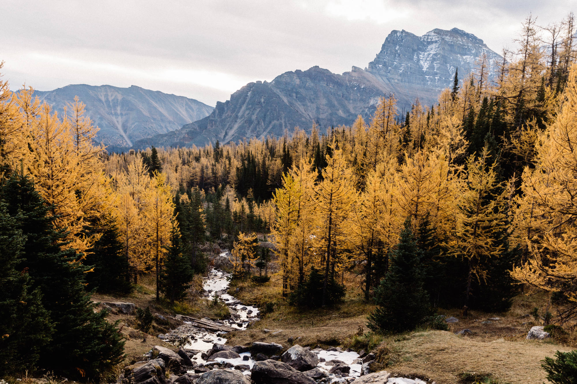 Weather In Banff In September 2024 - Dacie Dorothy