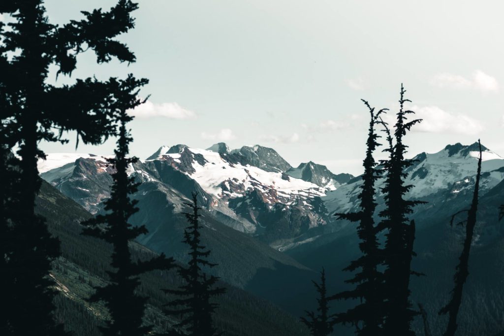 canadian rockies geology road tours