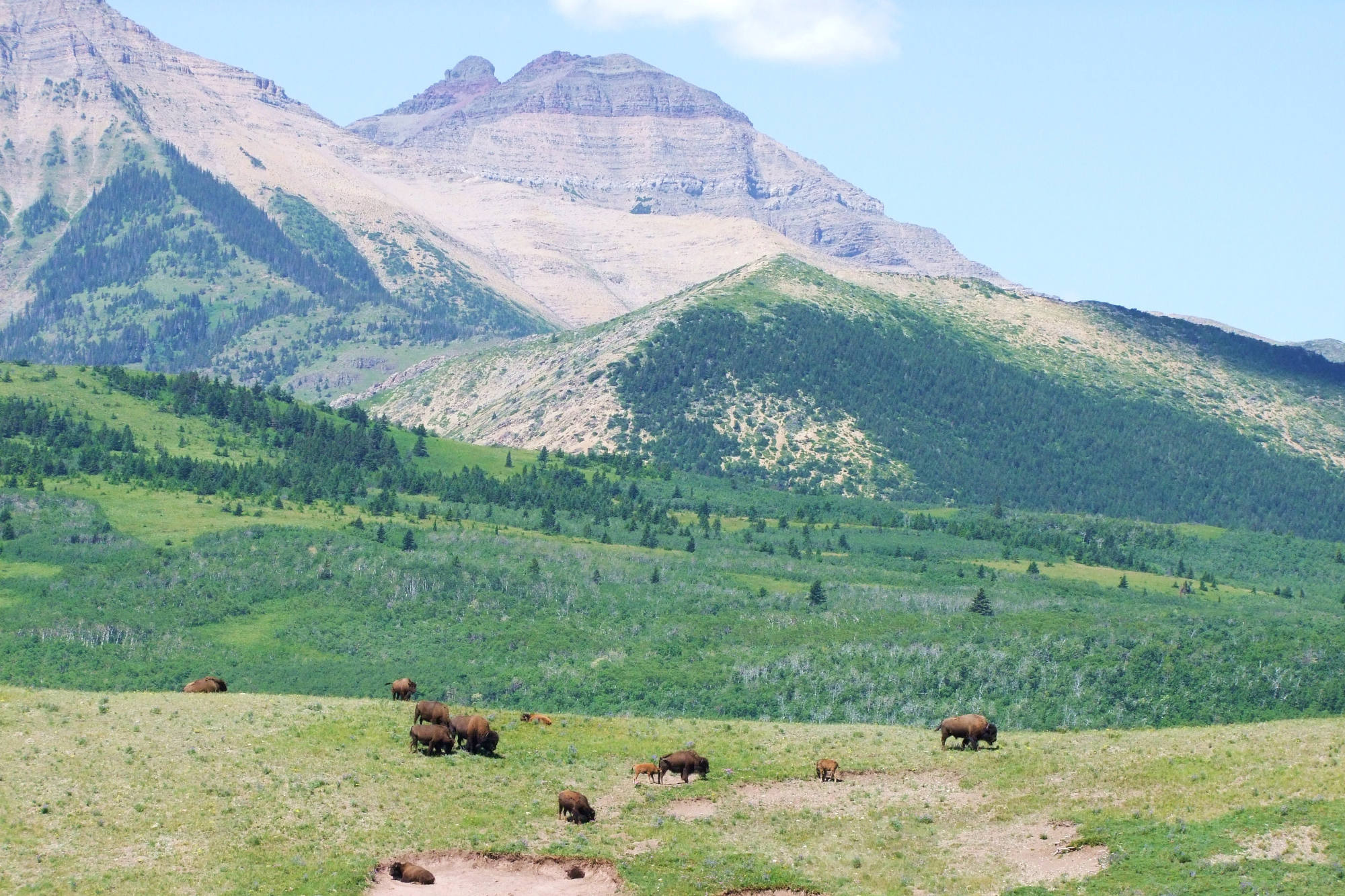 11 Guided Tours in the Canadian Rockies You Don't Want to Miss!
