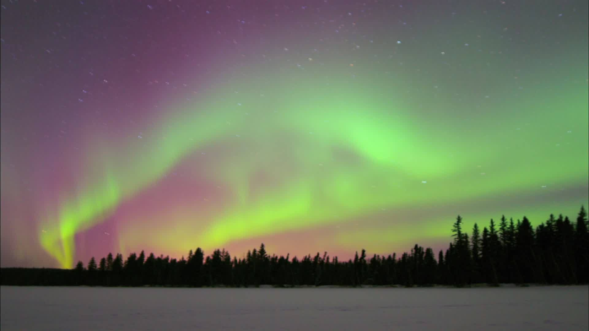 Northern Lights In Canada Discover in Banff National Park