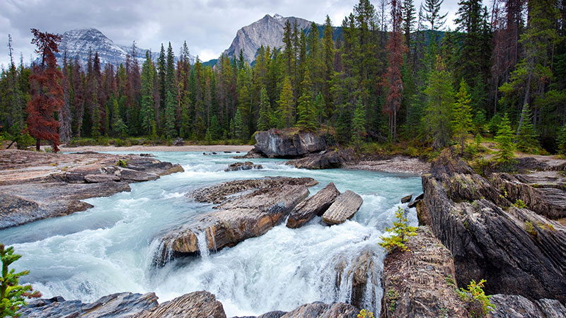 Kicking Horse River in yoho national park