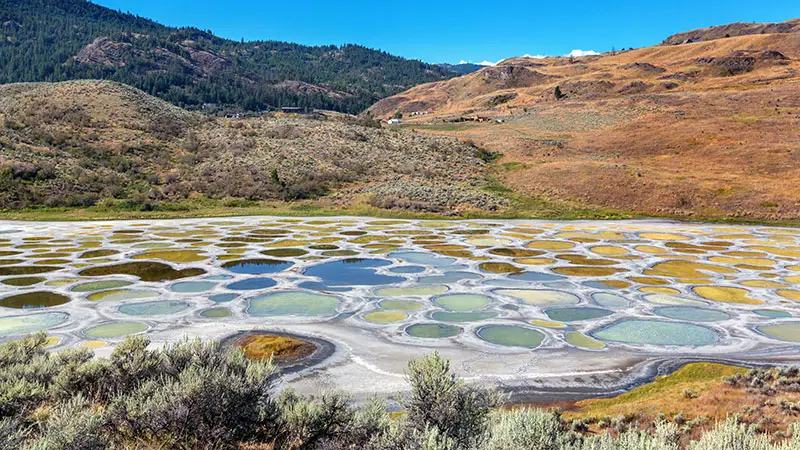 Spotted Lake on a sunny day in British Columbia