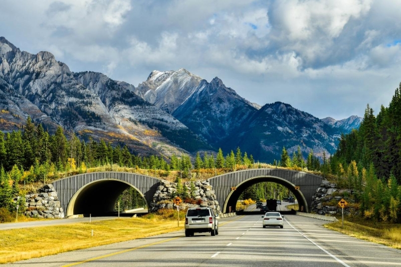 trans canada highway in banff