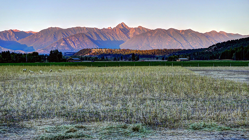 rural scenery in Cranbrook, British Columbia