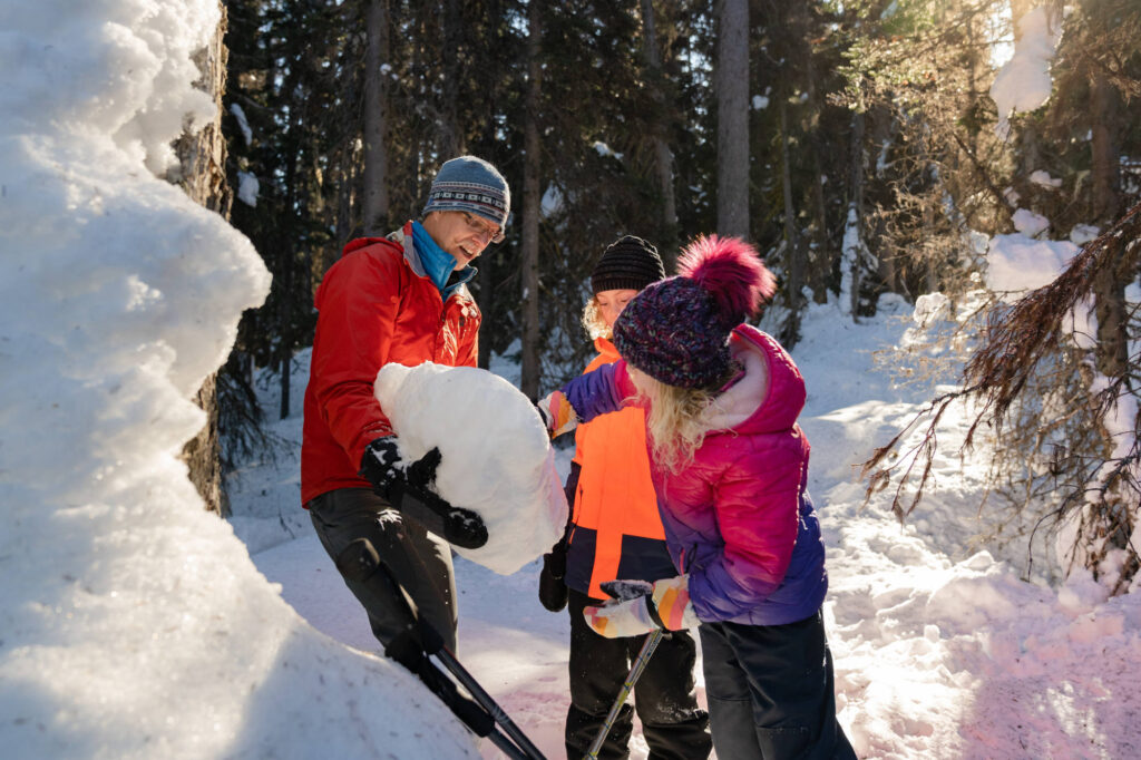 Winter Hiking & Snowshoeing in Banff and Lake Louise