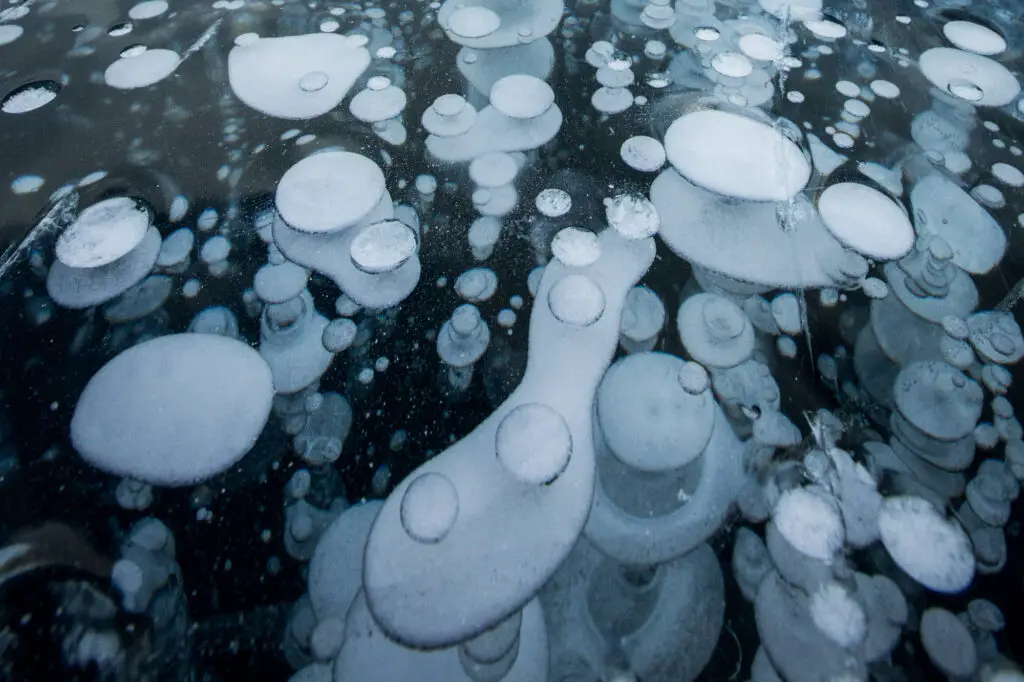 Ice bubbles on Lake Minnewanka