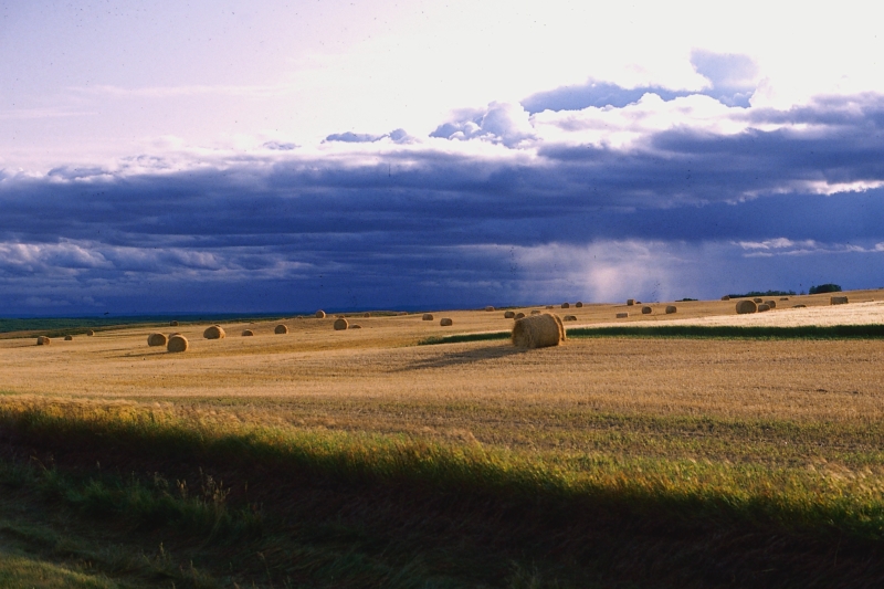 Storm clouds in the sky