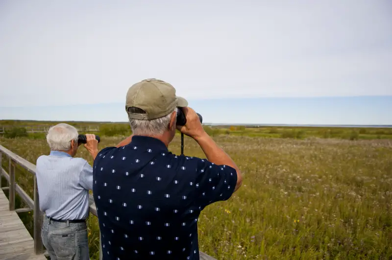 Two elderly gentlemen engaged in observing birds using binoculars